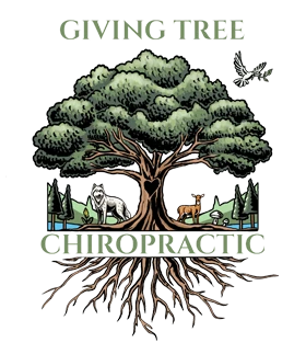 Chiropractic Michigan City IN Giving Tree Chiropractic